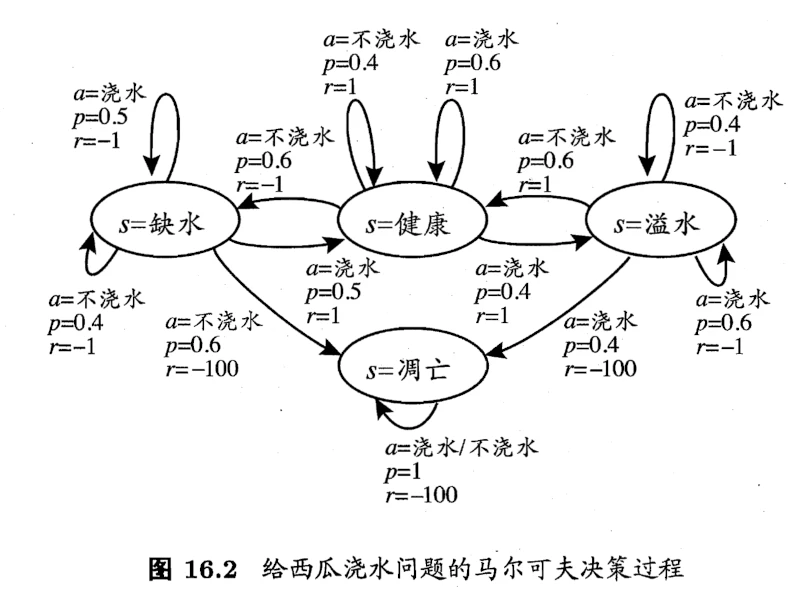 浇水问题的马尔可夫决策过程